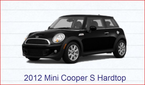 Children's Cancer Association -2012 Mini