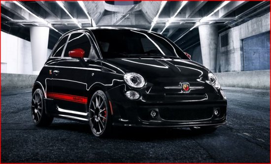 Animal Aid Foundation 2013 Fiat 