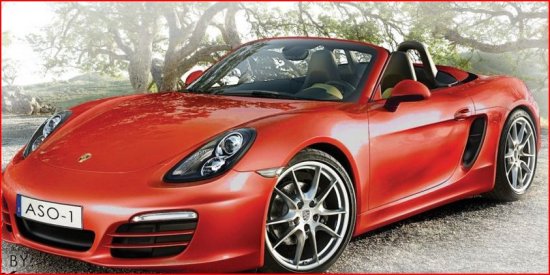 Ashville Symphony 6-30-2014 raffle - Porsche Boxster - left side