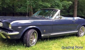 Rotary Club of Bailey's Crossroads 9-24-2017 raffle - 1965 Ford Mustang Convertible or $20,000 Cash - left side top dn.#3 trees grazing