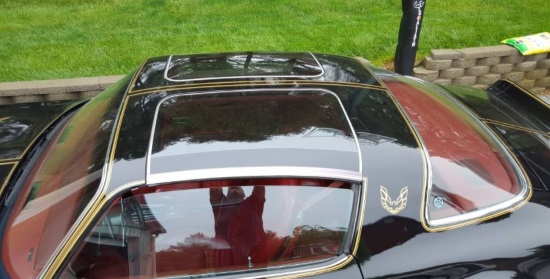 V8s for Vocations 6-02-2018 raffle - 1978 T-Top Trans Am Starlight Black (Taxes Paid ) - glass top 