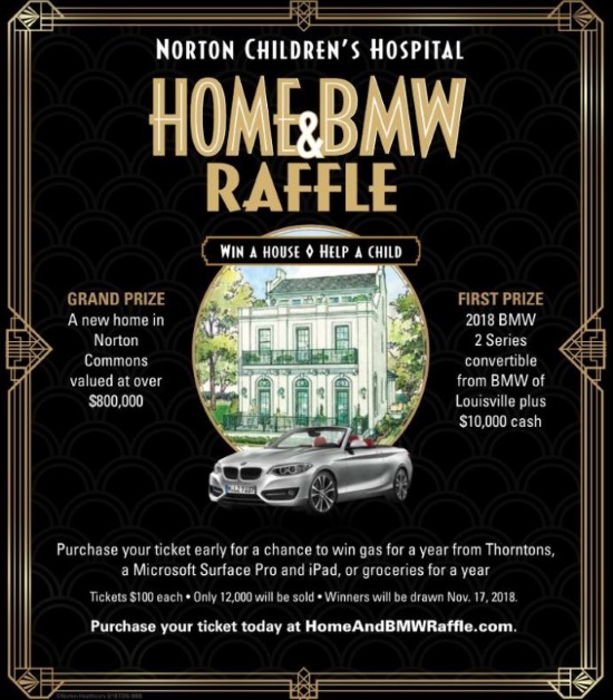 Children’s Hospital Foundation 11-17-2018 raffle - 2018 BMW 2 Series plus $10,000 cash or a New Home - Flyer 