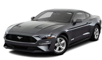 Saddle River Valley Lions Club 6-01-2019 raffle - 2019 Ford Mustang Coupe -