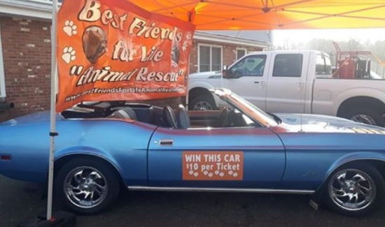 Best Friends for Life Animal Rescue Inc 11-15-2019 raffle - 1973 Ford Mustang Convertible - right side 