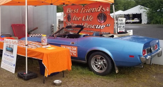 Best Friends for Life Animal Rescue Inc 11-15-2019 raffle - 1973 Ford Mustang Convertible - tent close 