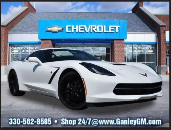 Portage Foundation 2-14-2020 raffle - 2019 Corvette Coupe or $50,000 Cash - Sponsor