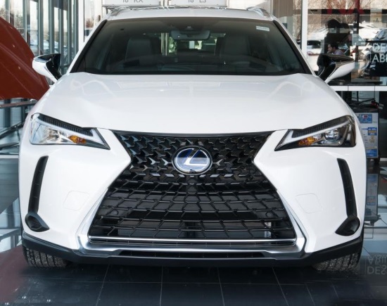 Center for Enriched Living 6-29-2020 drawing - 2020 Lexus UX250H or $30,000 Cash - front.#2 