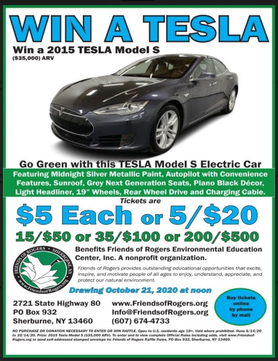Friends of Rogers Center 10-21-2020 drawing - 2015 TESLA Model S Electric Car - main flyer
