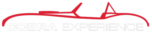 Cobra Experience logo