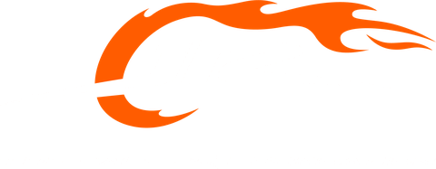 Dale Jr. Foundation logo