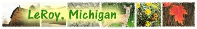 Leroy, MI. Chamber of Commerce logo