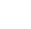 Tamir logo